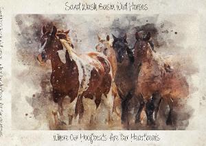 Sand Wash basin Wild horses