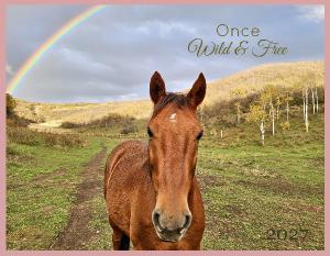 Once Wild and Free 2027