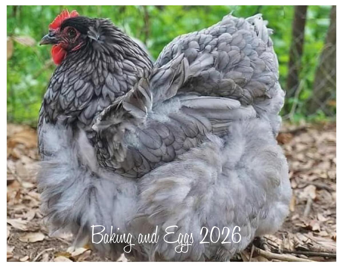 The Hens of Baking and Eggs