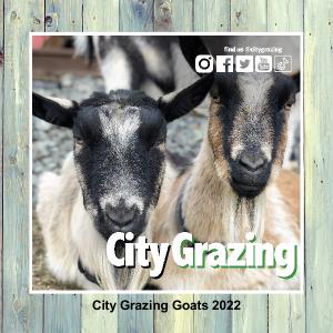 City Grazing 2022 Calendar