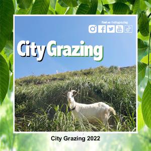 2022 City Grazing Calendar