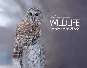 Claire Payne - 2023 Wildlife Calendar