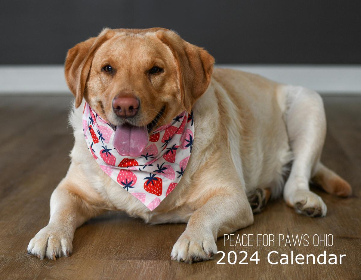 The Inaugural Peace for Paws Ohio 2024 Calendar