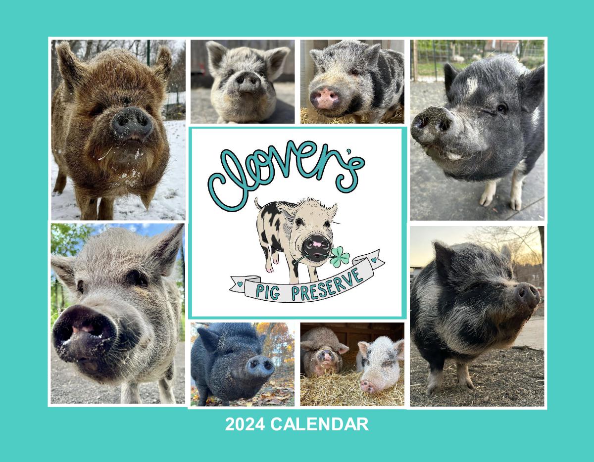 Clover's Pig Preserve - 2024 Calendar