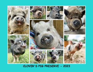 Clover's Pig Preserve Calendar
