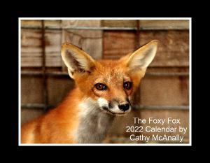 The Foxy Fox 2022 Calendar by Cathy McAnally