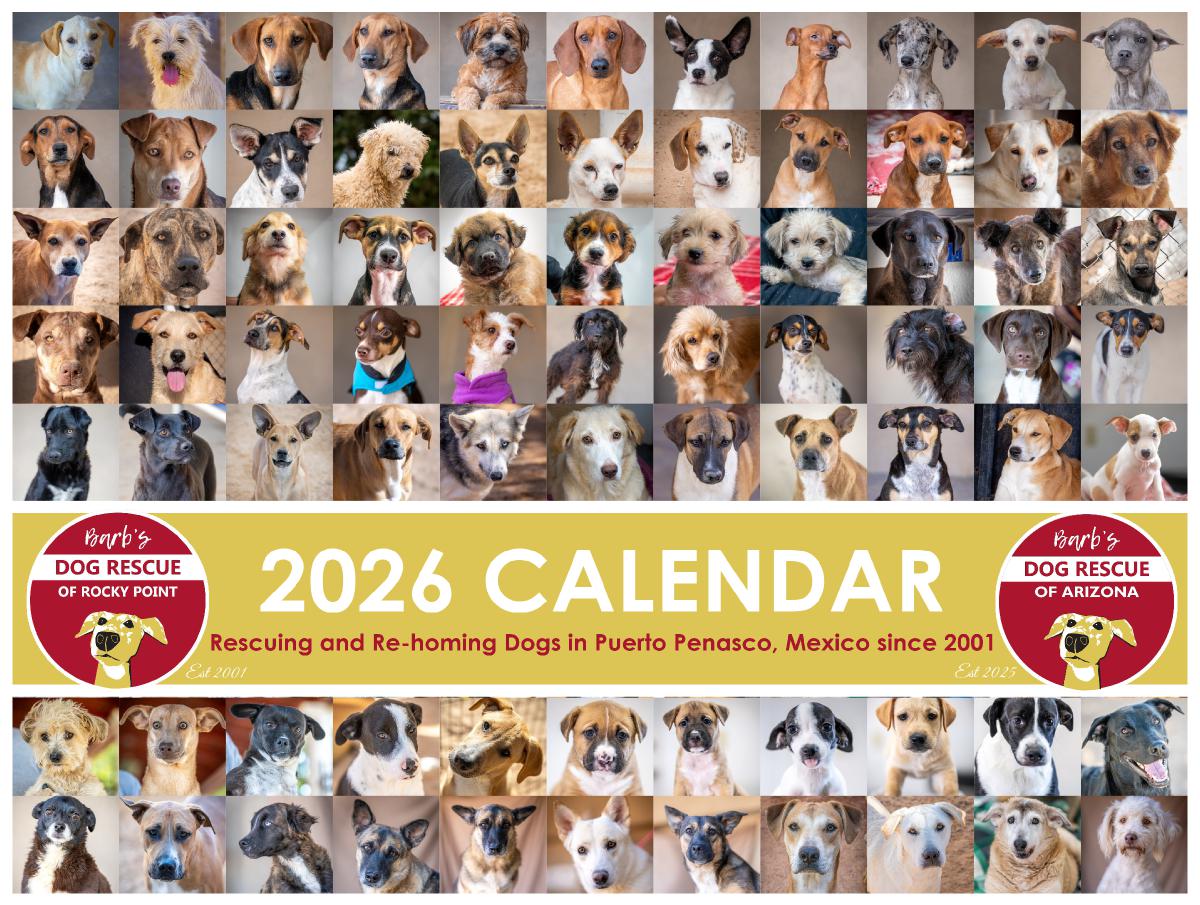 Barb's Dog Rescue 2026 Calendar