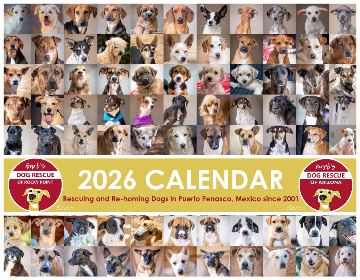 Barb's Dog Rescue 2026 Calendar