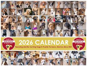 Barb's Dog Rescue 2026 Calendar