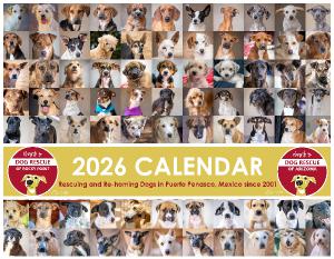 Barb's Dog Rescue 2026 Calendar