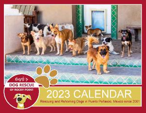 Barb's Dog Rescue of Rocky Point - 2023 CALENDAR