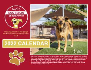 Barb's Dog Rescue of Rocky Point - 2022 CALENDAR