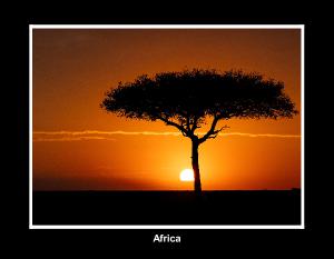 Africa Wildlife Calendar