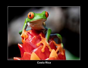 Costa Rica Calendar