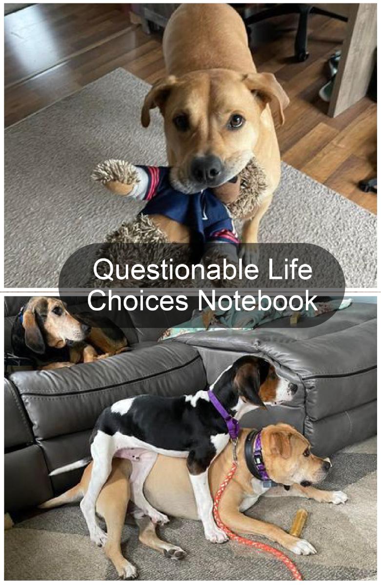 Questionable Life Choices Notebook