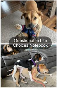 Questionable Life Choices Notebook
