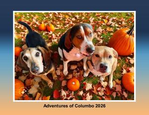 2026 Adventures of Columbo Calendar