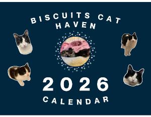 Biscuits Cat Haven 2026 Calendar