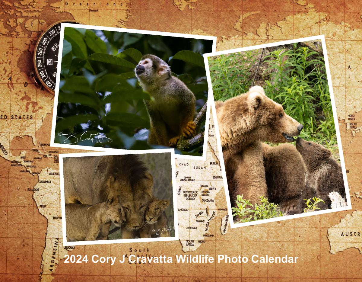 2024 Cory J. Cravatta Wildlife Photo Calendar