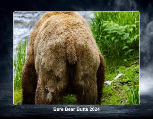 Bare Bear Butts 2024