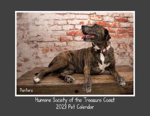 HSTC 2023 Pet Calendar
