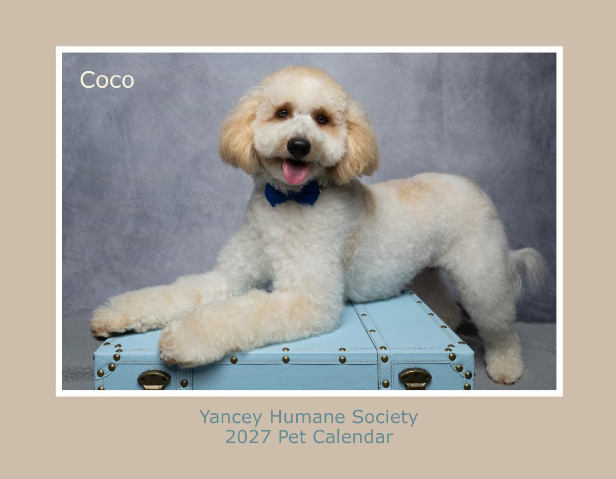 2027 Yancey Pet Calendar