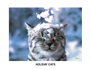 Holiday Cats
