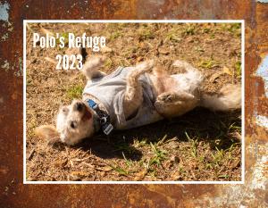 Polo's Refuge 2023 Calendar