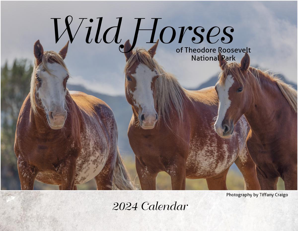 2024 Wild Horse Calendar