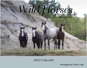 2022 Wild Horse Calendar