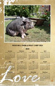 Ross Mill Farm & Piggy Camp