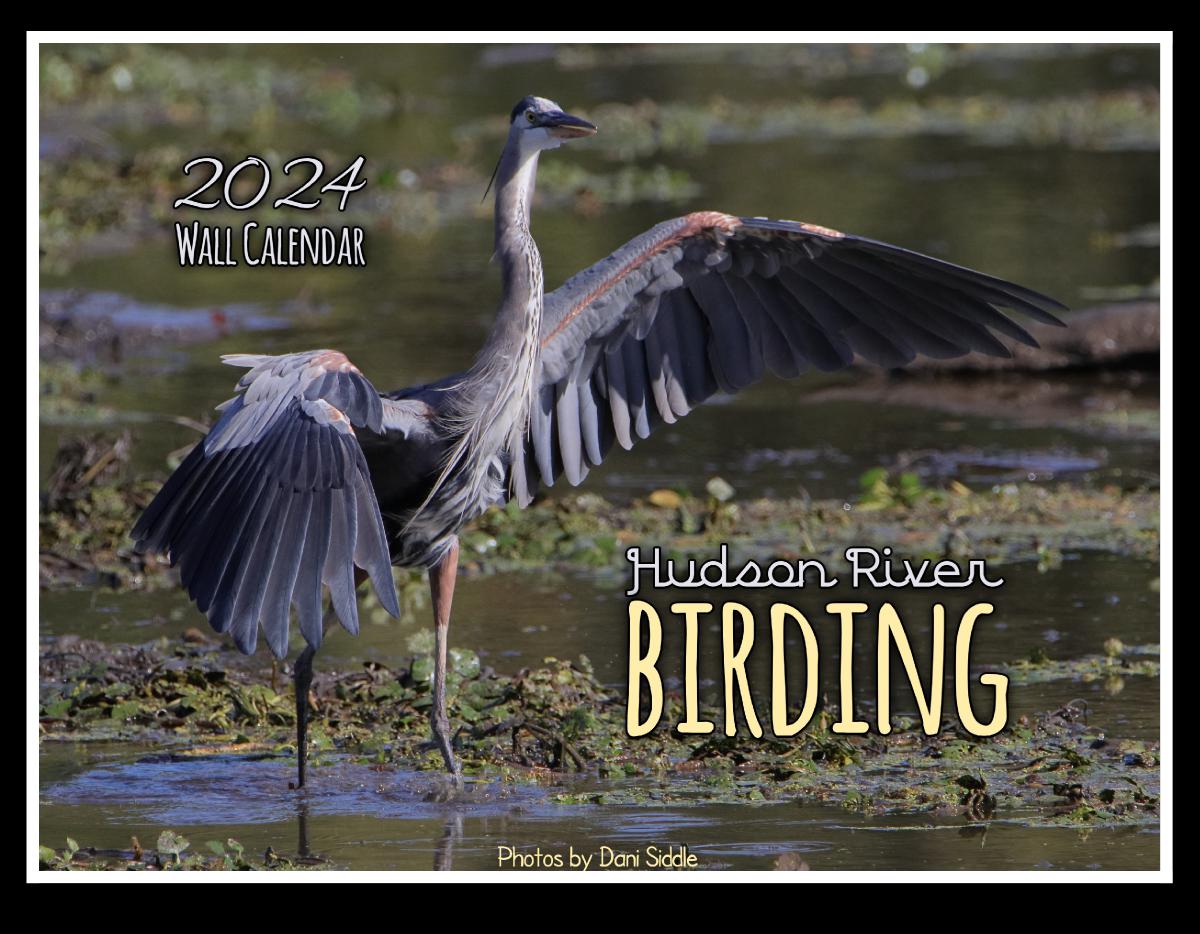 Hudson River Birding 2024 Calendar
