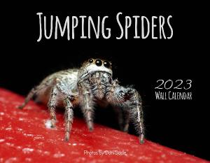 Jumping Spiders 2023
