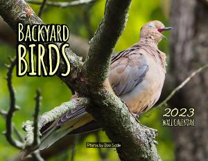Backyard Birds 2023