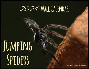 Jumping Spiders 2024