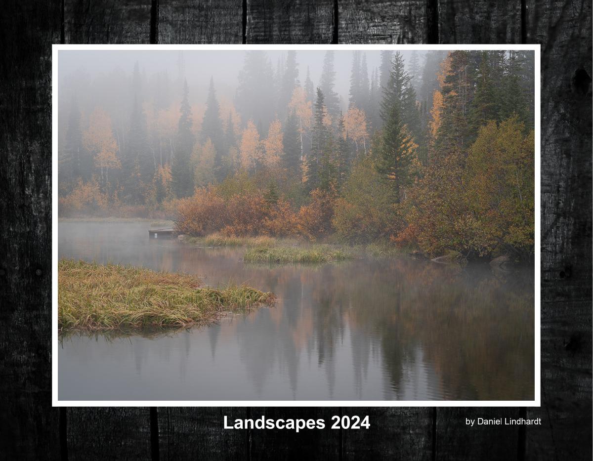 Landscapes 2024