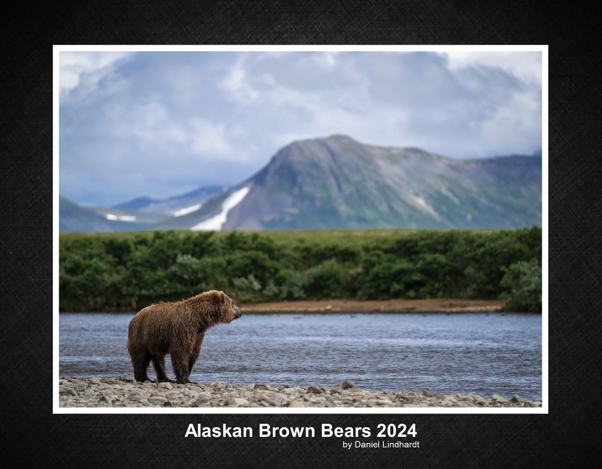 Alaskan Brown Bears 2024