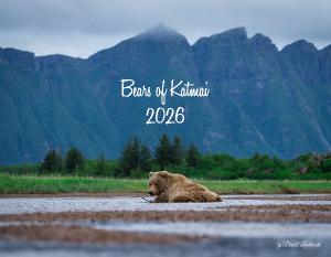 Bears of Katmai 2026