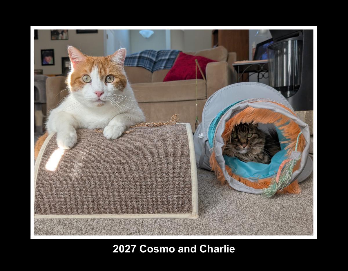 2027 Cosmo and Charlie