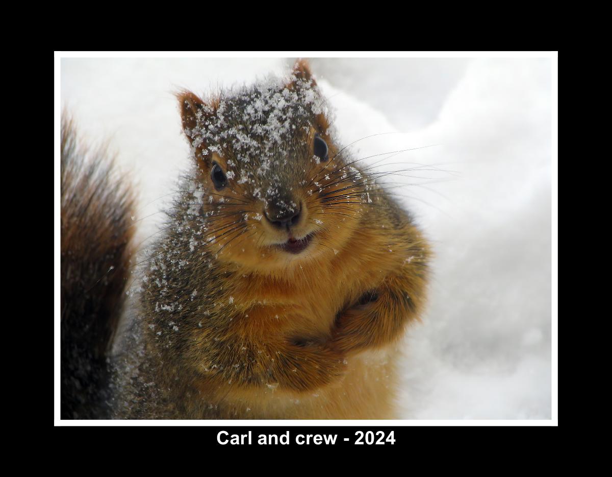 Carl and crew - 2024