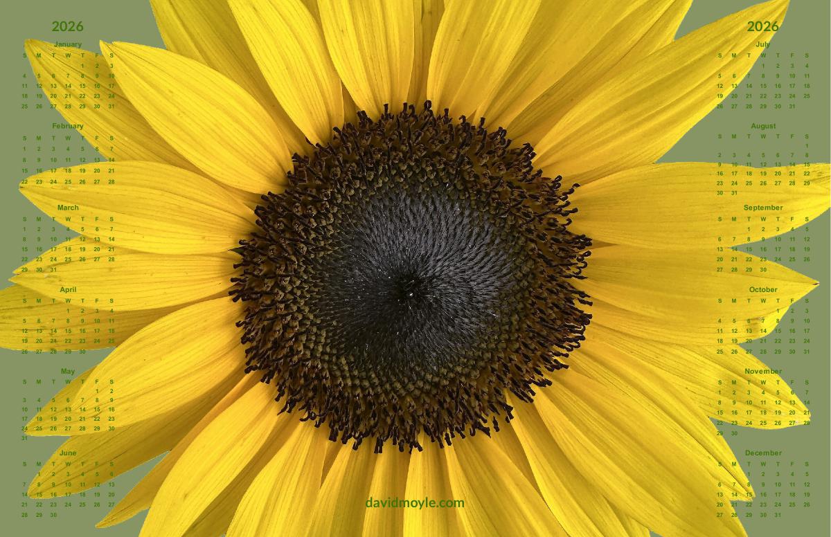 Sunflower Poster Calendar