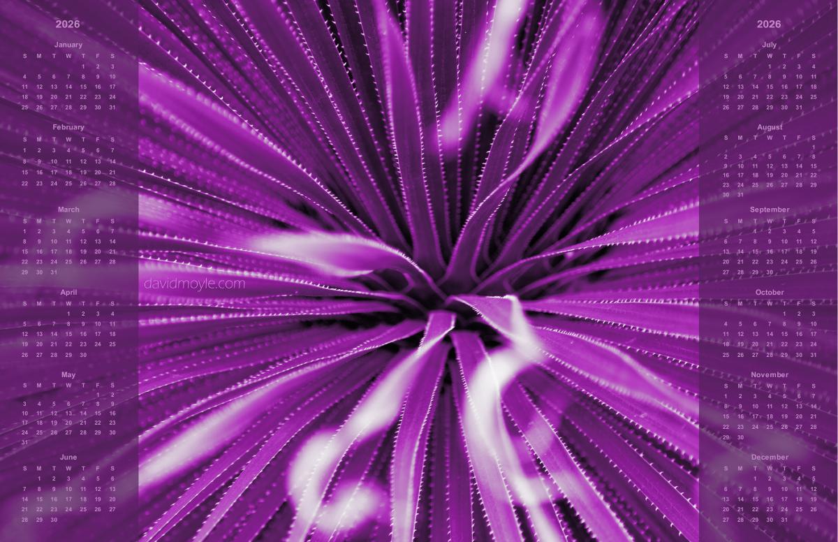 Purple Abstract Poster Calendar