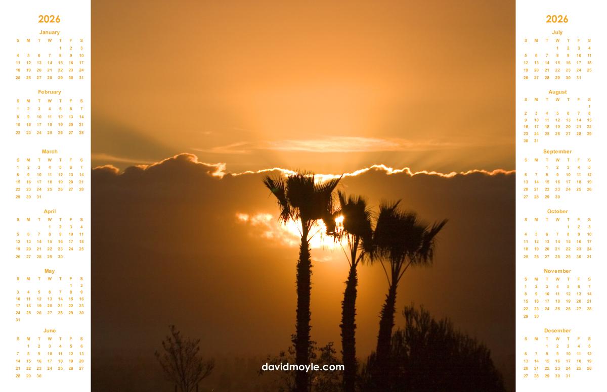 Desert Sunset Poster Calendar