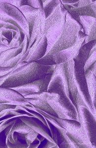 Purple Roses Notebook