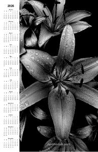 Black and White Lilies Calendar