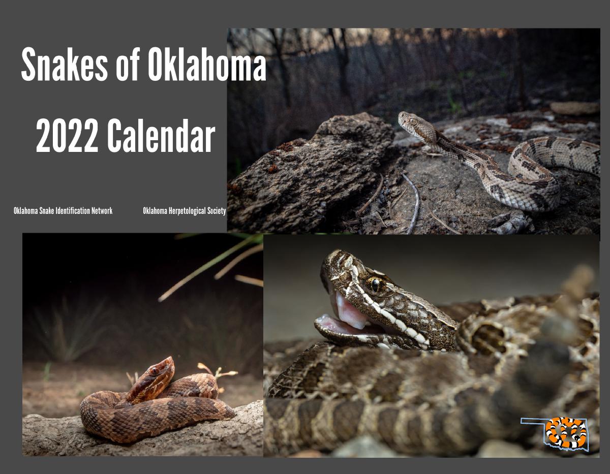 Snakes Of Oklahoma 2022 Calendar | Create Photo Calendars