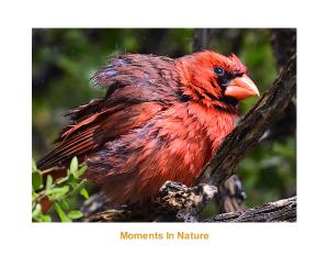 Moments In Nature By Dawn Avalon