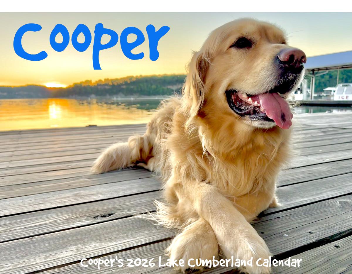 Cooper The Therapy Dog 2026