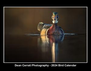 Dean Cerrati Photography 2024 Bird Calendar