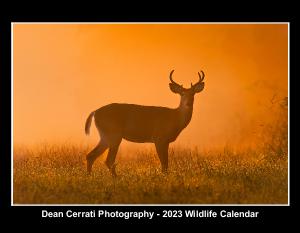 Dean Cerrati Photography - 2023 Wildlife Calendar